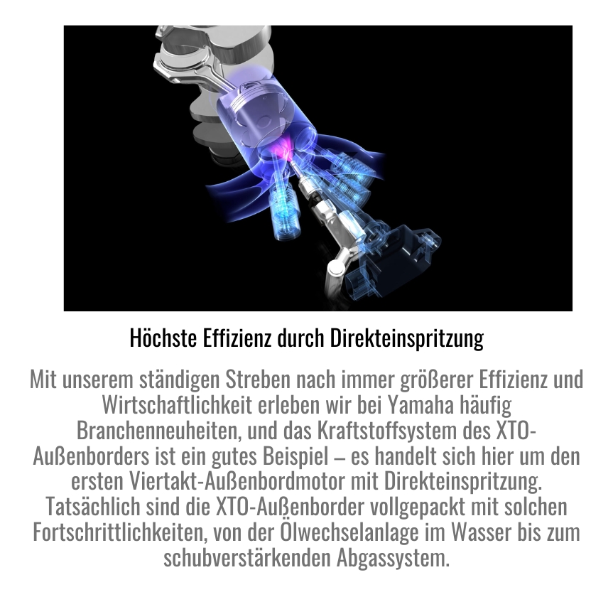 Höchste Effizienz durch Direkteinspritzung